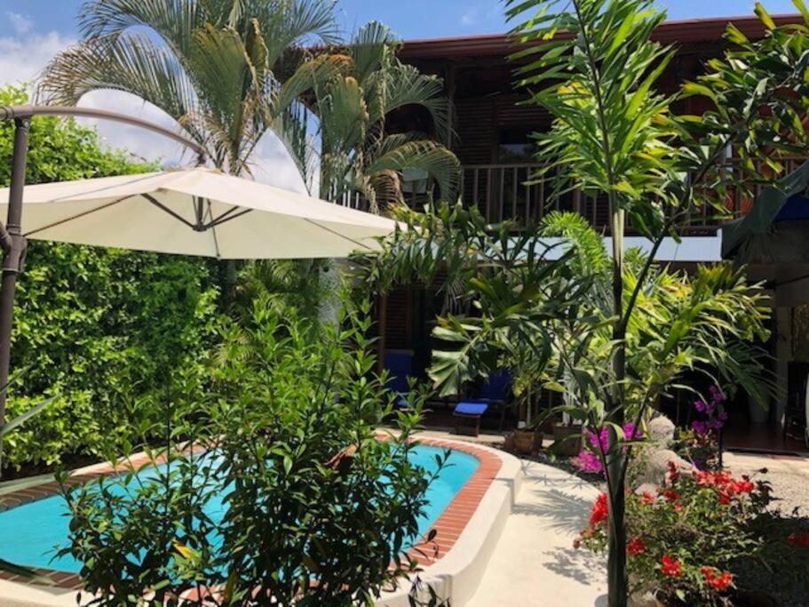 Casa Toucan Mit Privat Pool Near Np Ballena Увита Экстерьер фото