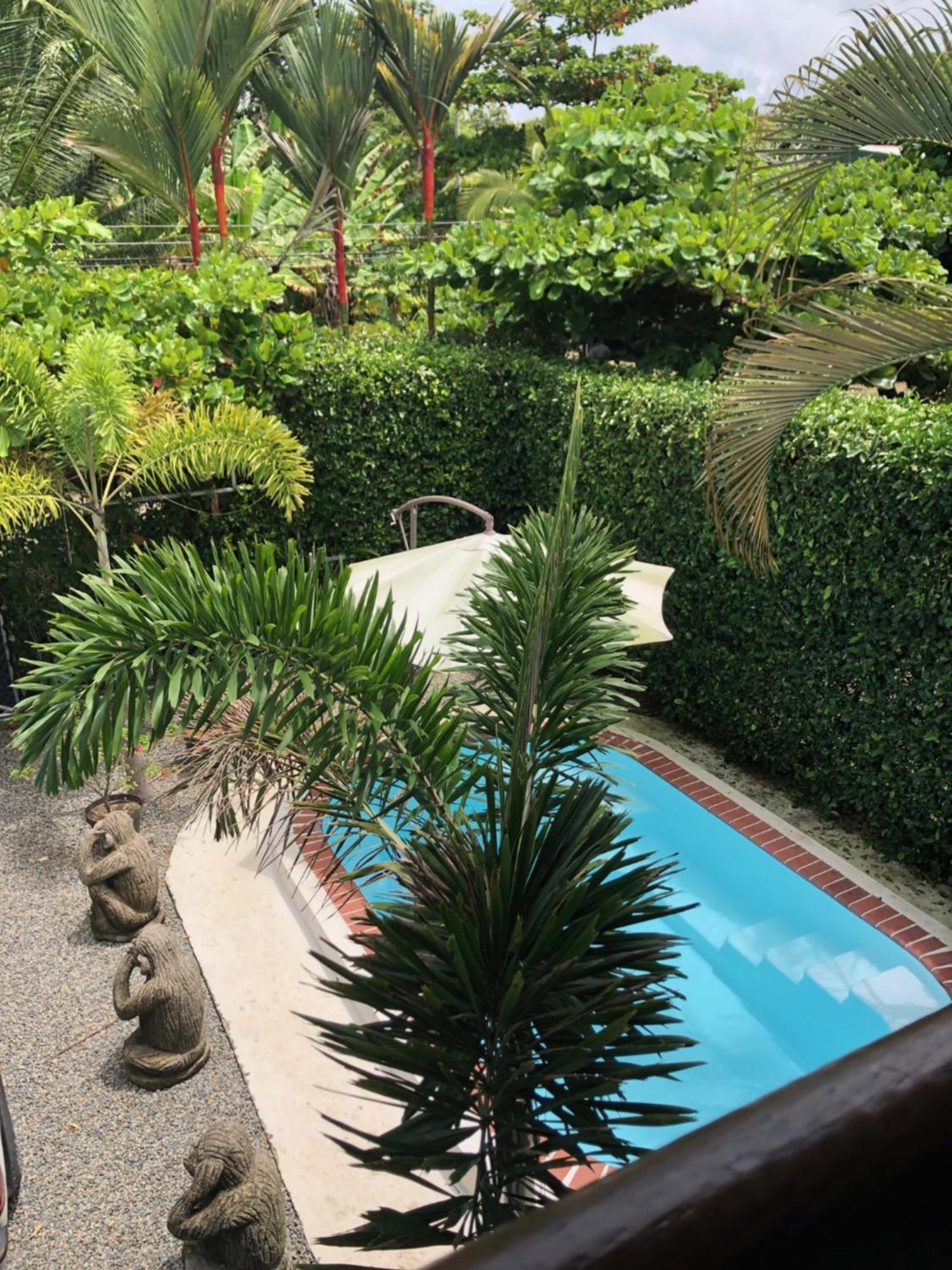 Casa Toucan Mit Privat Pool Near Np Ballena Увита Экстерьер фото