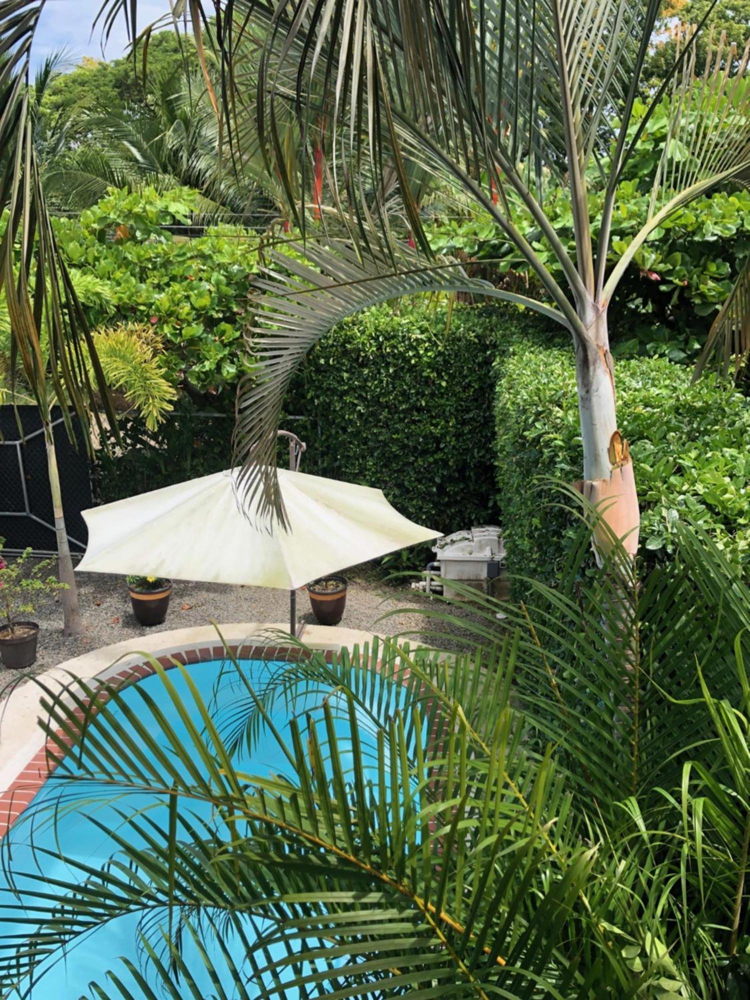 Casa Toucan Mit Privat Pool Near Np Ballena Увита Экстерьер фото
